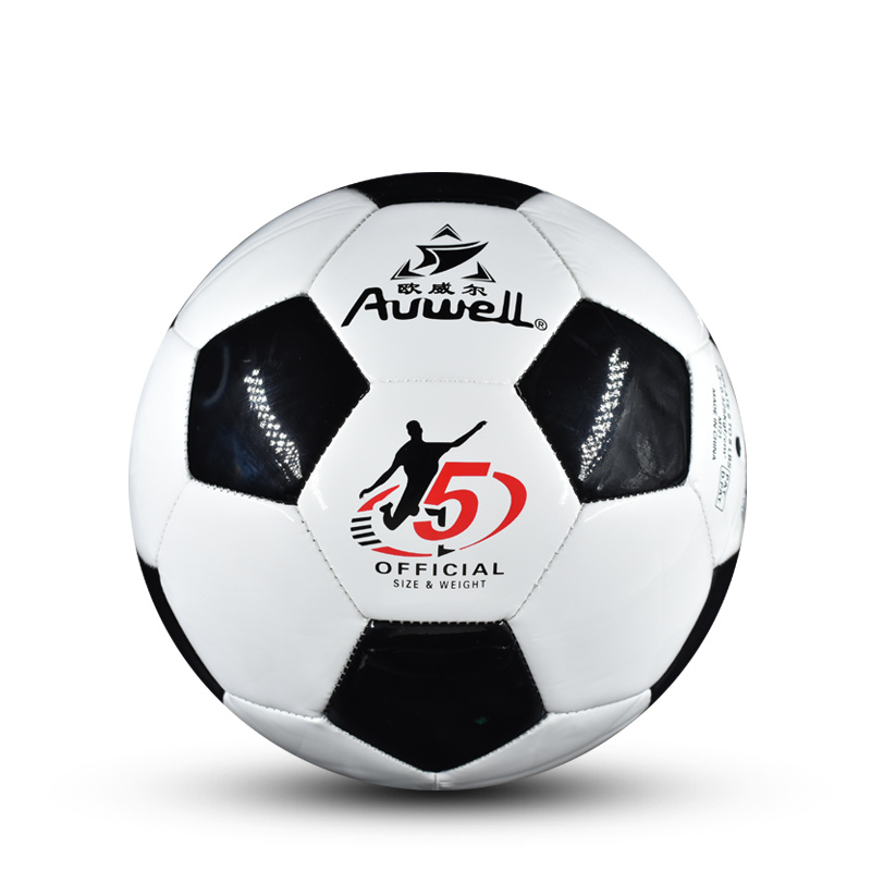 AWS5501-1.jpg
